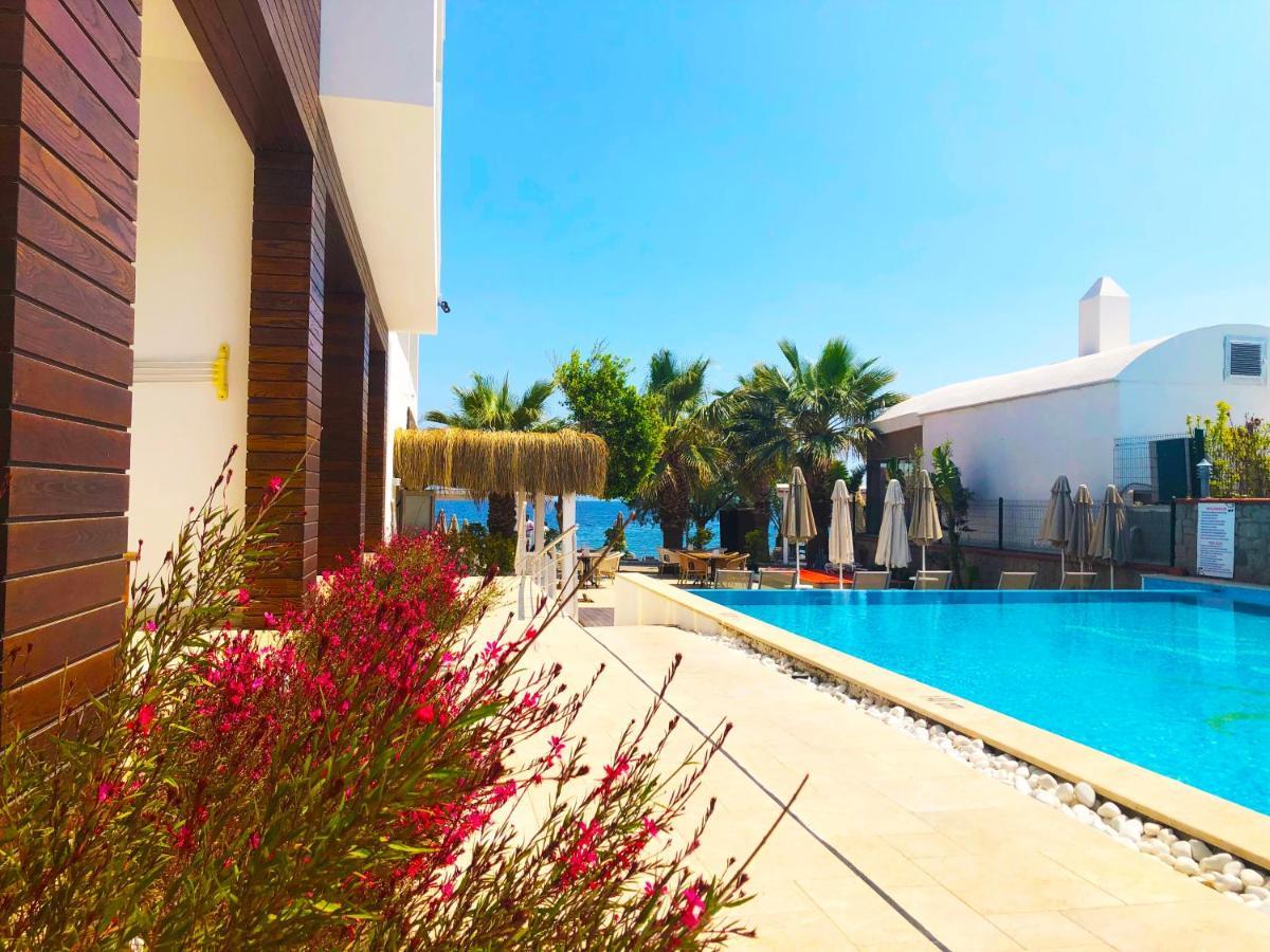 Zest Exclusive Hotel Ortakent Extérieur photo