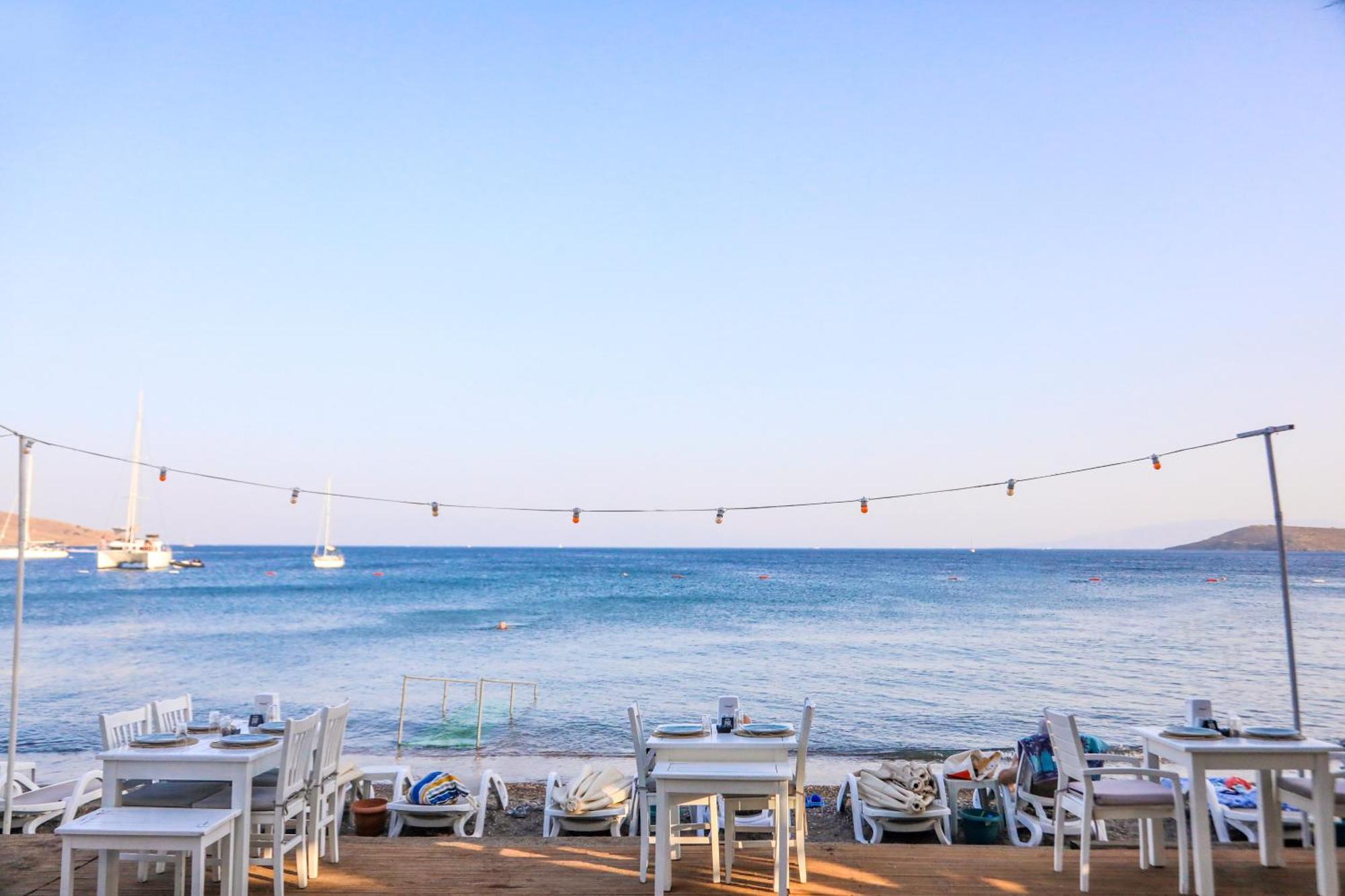 Zest Exclusive Hotel Ortakent Extérieur photo
