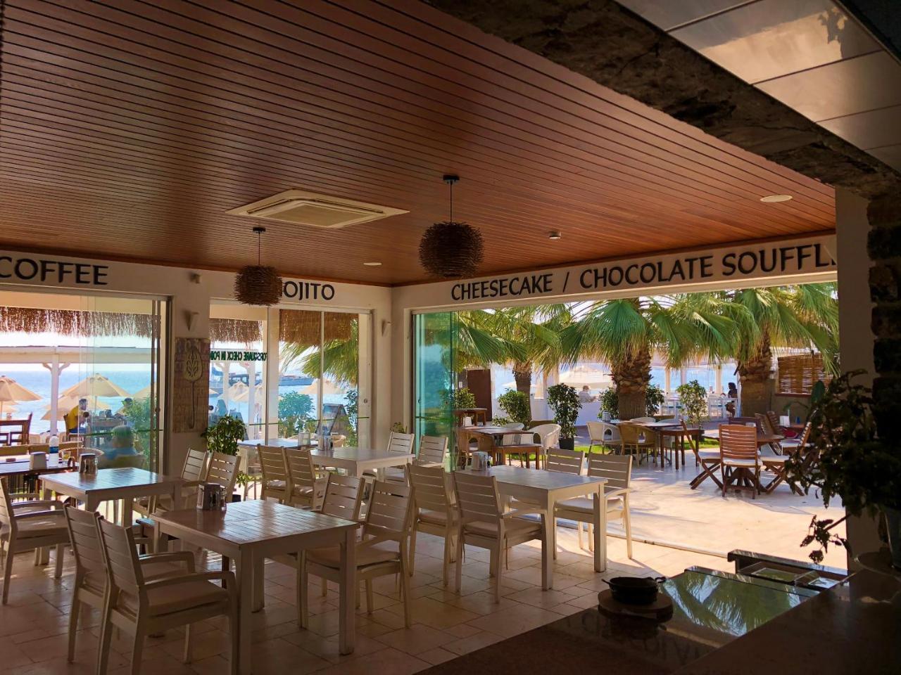 Zest Exclusive Hotel Ortakent Extérieur photo