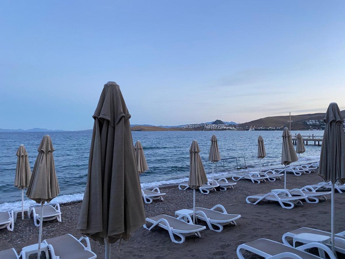 Zest Exclusive Hotel Ortakent Extérieur photo